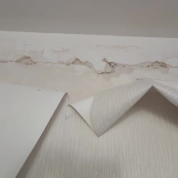 DASK Hasar Kaydı İçin Verdiğim Uğraşlar Ve Bilgi Almama Engelleri