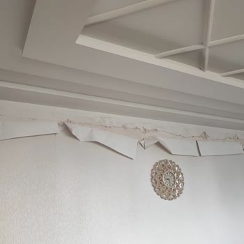 DASK Hasar Kaydı İçin Verdiğim Uğraşlar Ve Bilgi Almama Engelleri