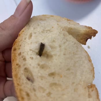 Çağdaş Marketler Ekmek Sağlığı İle Oynuyorlar
