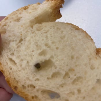 Çağdaş Marketler Ekmek Sağlığı İle Oynuyorlar