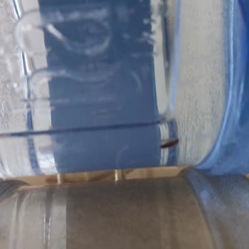 Hamidiye Su Hamidiye Damacana Su