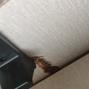 Weltew Home Ürünlerinde Sorun Yaşıyorum