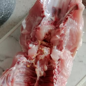 A101 Market Hastavuk İçinden Böcek Çıktı