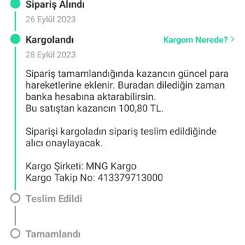 MNG Kargo Kargomu Kaybetti Şikayetçiyim