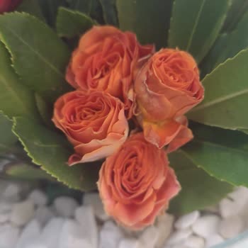 ÇiçekSepeti Soluk Çiçeklerin Yollanması Ve Gelen Çiçeğin Görselden Farklı Olması
