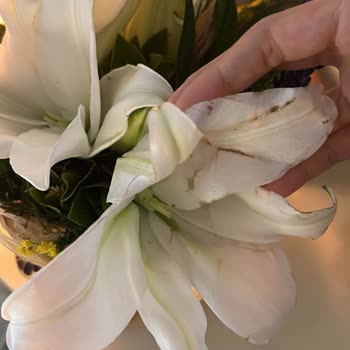 Çiçek Sepeti Kanserli Çocukları Kullanıp Yorum İstiyor