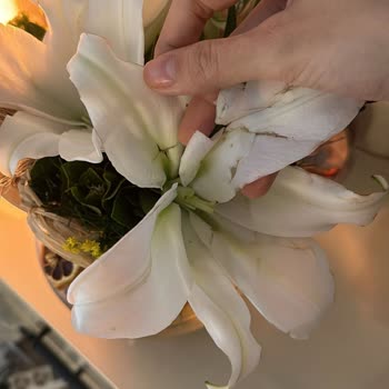 Çiçek Sepeti Kanserli Çocukları Kullanıp Yorum İstiyor