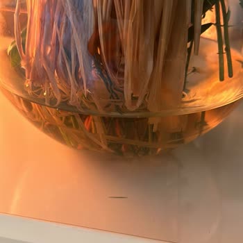 Çiçek Sepeti Kanserli Çocukları Kullanıp Yorum İstiyor