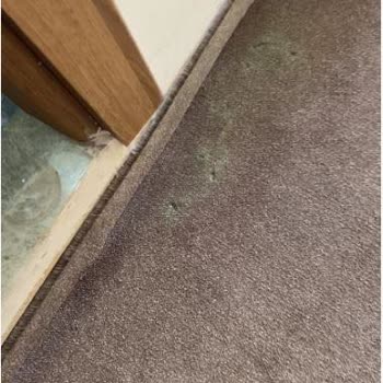 Aliento Boutique Hotel (Burhaniye) Rezervasyon İptali