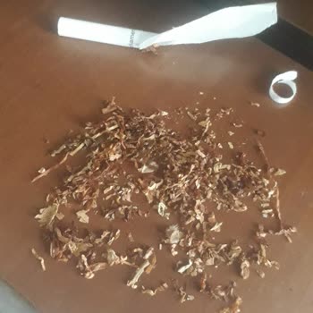 Uzun Parliament Tütün Hariç Her Şey Var