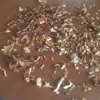 Uzun Parliament Tütün Hariç Her Şey Var