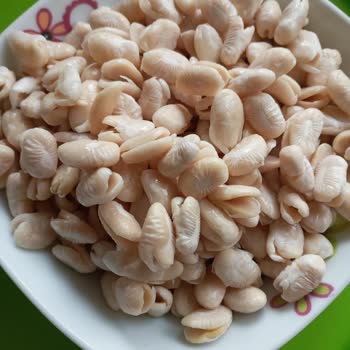 Hasata Kuru Fasülye Islatma Suyunda Bile Dağıldı!
