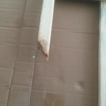 UPS Türkiye Geç Gelmesi, Özensizlik, Kutu İçi Hasar, Ayakla Basılması