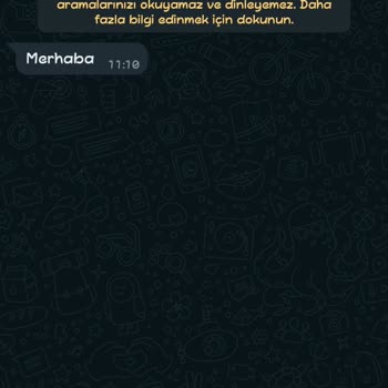 WhatsApp Amerika İşletme Hesabı Mesaj