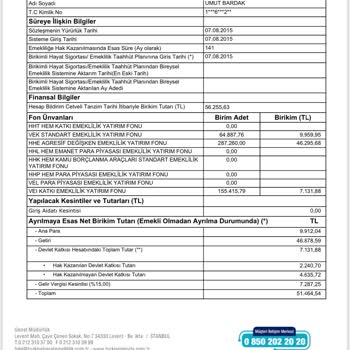 Türkiye Hayat Emeklilik Bireysel Emeklilik Sistemi