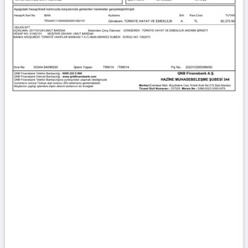 Türkiye Hayat Emeklilik Bireysel Emeklilik Sistemi