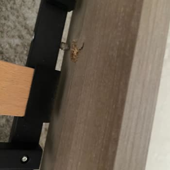 Doğtaş Mobilya Garanti Sorunu!