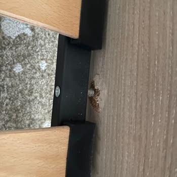 Doğtaş Mobilya Garanti Sorunu!