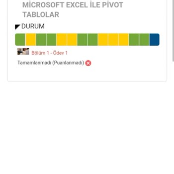 Bilgeİş Pivot Table Kursunda Sorun Yaşıyorum