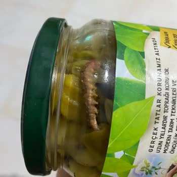 Tat Konserve Türlü İçinden Tırtıl/kurt Çıktı