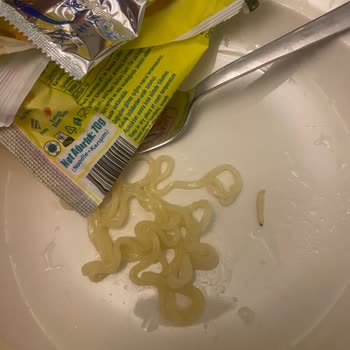 İndomie Noodle İçinde Kurt Çıkması