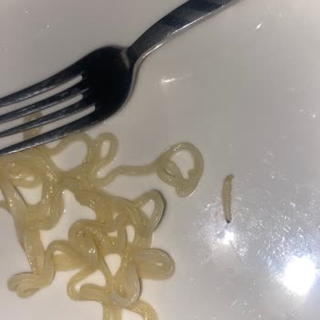 İndomie Noodle İçinde Kurt Çıkması