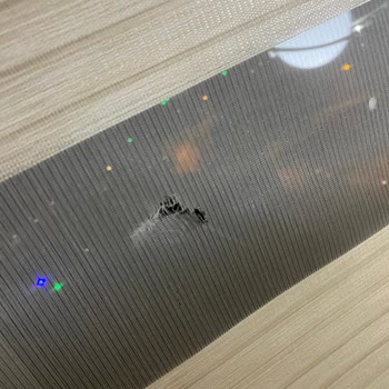 Almir Halı Yıkamada Yaşanan Mağduriyet