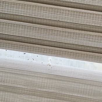 Almir Halı Yıkamada Yaşanan Mağduriyet