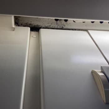 TCDD Trenin Vagonlarındaki Kötü Koku Ve Trenin İçinin Pis Olması