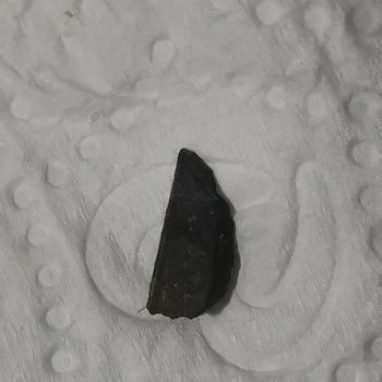 BİM Ekmekçik Mantı İçinden Demir Çıktı