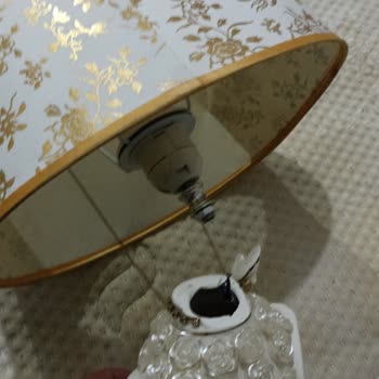 Armut Can Nakliye Firması Hizmet Kalitesi!