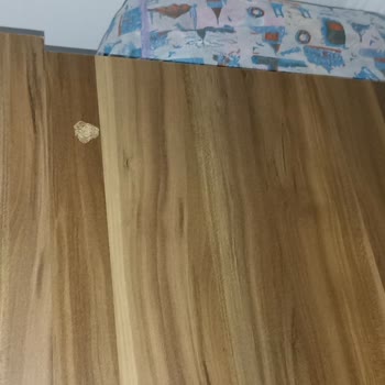 Armut Can Nakliye Firması Hizmet Kalitesi!