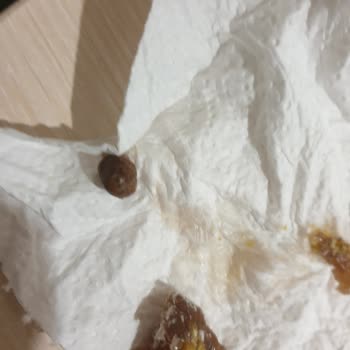 Makbul Lokum İçinden Taş Çıktı