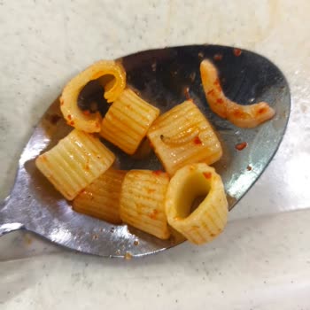 Düzce Akçakoca KYK Kız Yurdu Yemeklerde Kurt Sinek Kıl