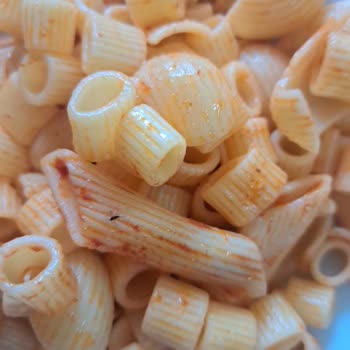 Düzce Akçakoca KYK Kız Yurdu Yemeklerde Kurt Sinek Kıl