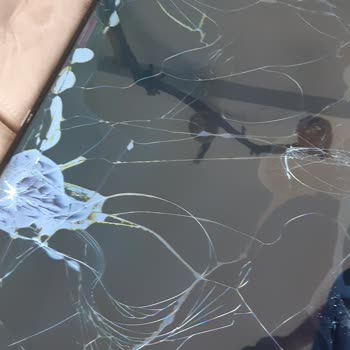 Horoz Lojistik İnternetten TV Alma.