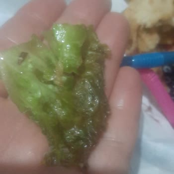 Donas Çürük İçerik ve Kıl Çıkıyor