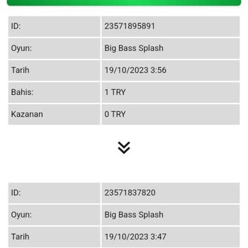 Betwild Sitesinde FreeSpin Kazancı Hesaba Yansımadı