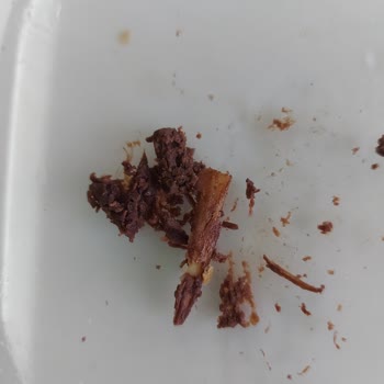 Torku Banada İçinden Çıkan Cisim