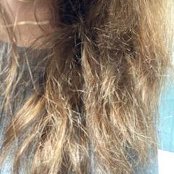 Rossmann OGX Saç Kremi Kalıp Gibi Yapıyor