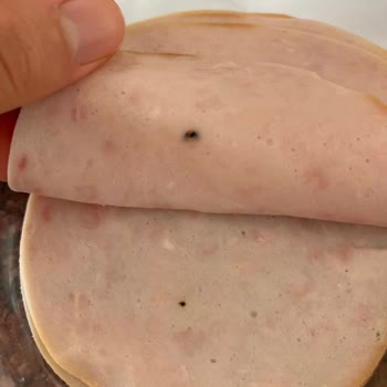 Maret Hindi Füme Yabancı Cisim