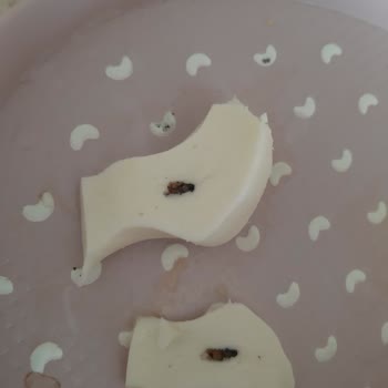 Gültekin Gurme Lezzetler Peynirden Sinek Çıkması