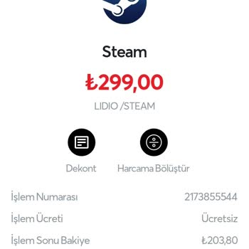 LİDİO/Steam Hesabımdan Çekilen Para!
