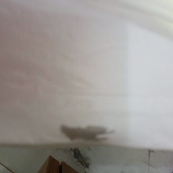 PTT Kargo Hasarlı Ürün Teslim Edildi