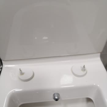 Vitra Klozet Menteşesi Kırılması!