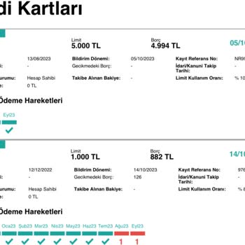 Türkiye Finans Kredi Kartı Ödemesi