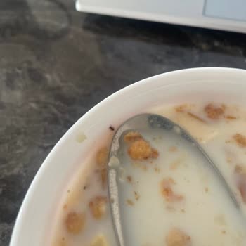 Kellogg's Gevreğimden Böcek Çıktı