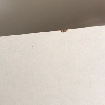 Vivense Ürün Defolu Ve Eksik