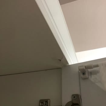 Name Baby Kids Kırık Ve Hasarlı Ürün İki Aydır Tedarik Edilmedi