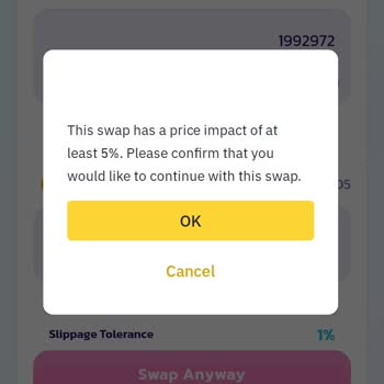 Binance Pancakeswap Tan Ne De İsimli Kriptoyu Bnb Ye Çeviremiyorum